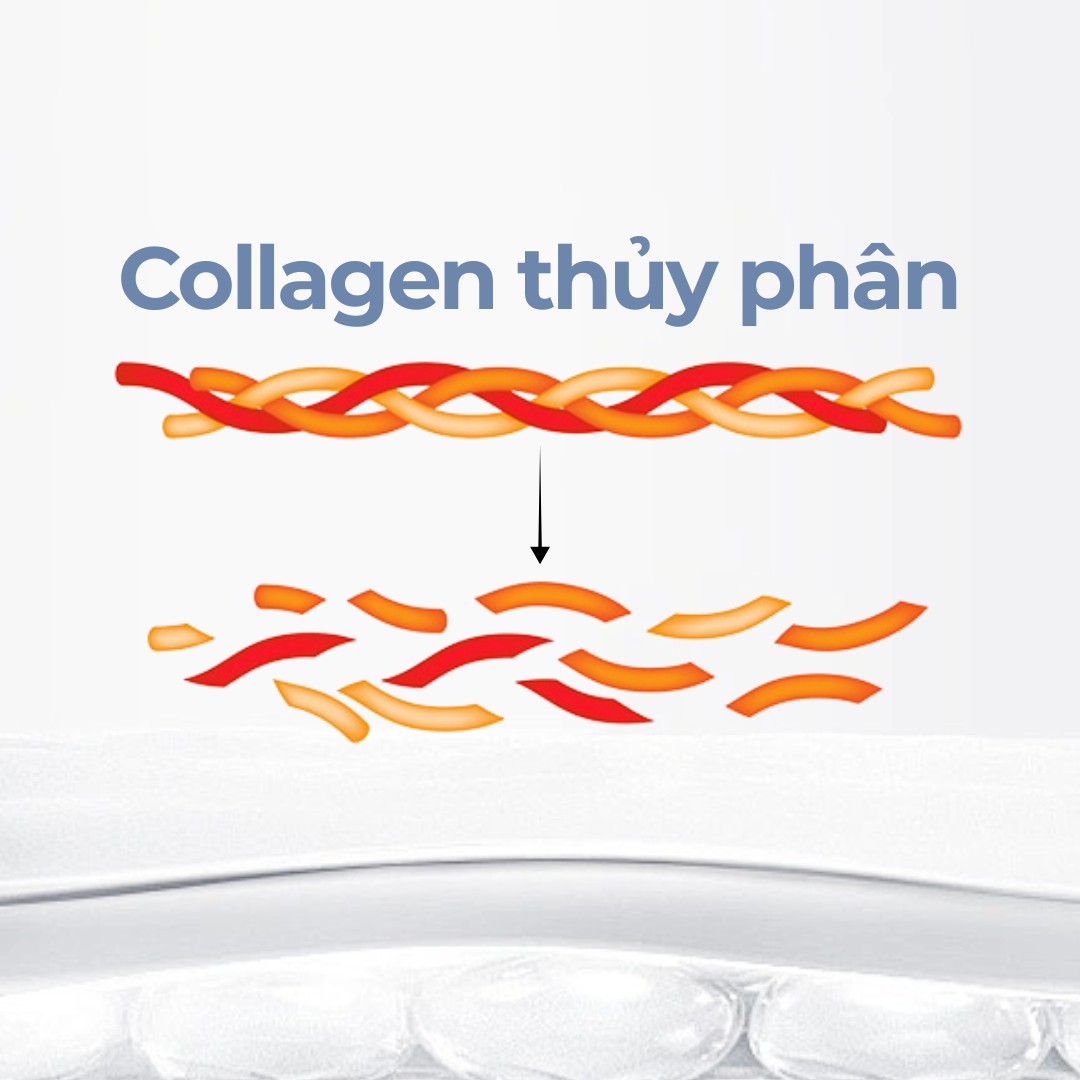 Collagen thủy phân