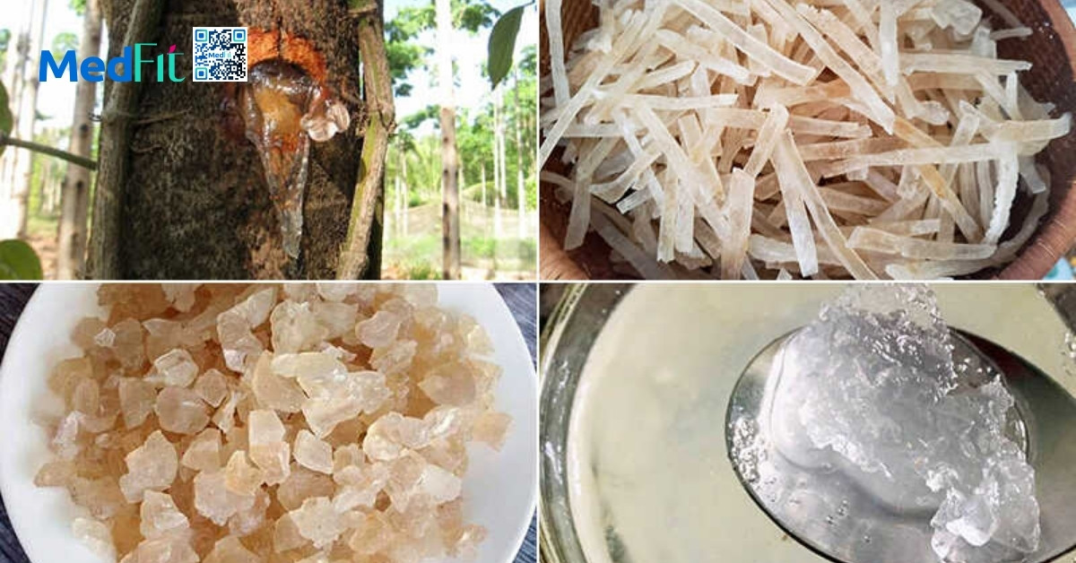 Mủ trôm là gì và có nên dùng trong chế độ ăn kiêng giảm cân khoa học? 1 Mủ trôm là nhựa thực vật khô được thu từ thân hoặc cành của cây Sterculia urens