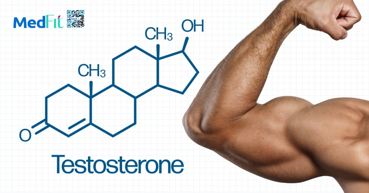 Tại sao cơ tay, cơ lưng lại khó tăng khi tập luyện giảm cân? 4 Testosterone có vai trò thúc đẩy tổng hợp protein và tăng khối lượng cơ, đặc biệt ở vùng chi trên