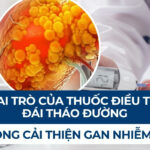 Vai trò của thuốc điều trị đái tháo đường trong cải thiện gan nhiễm mỡ