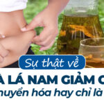 Sự thật về trà lá nam giảm cân: Hỗ trợ chuyển hóa hay chỉ là lời đồn?