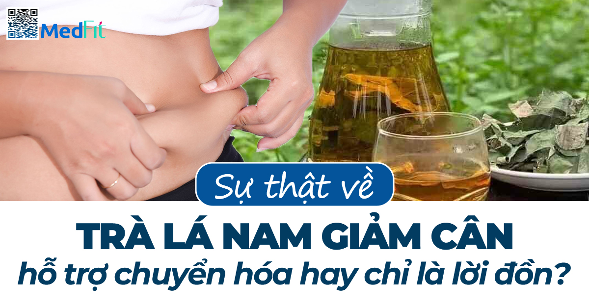 Kiến thức 11 Thumb 13