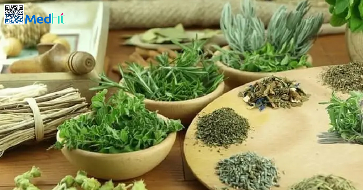 Sự thật về trà lá nam giảm cân: Hỗ trợ chuyển hóa hay chỉ là lời đồn? 1 Trà lá nam giảm cân là tên gọi chung cho các loại thảo mộc quen thuộc trong y học dân gian Việt Nam