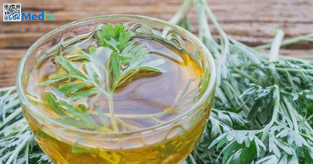 Sự thật về trà lá nam giảm cân: Hỗ trợ chuyển hóa hay chỉ là lời đồn? 3 Tra la ngai cuu