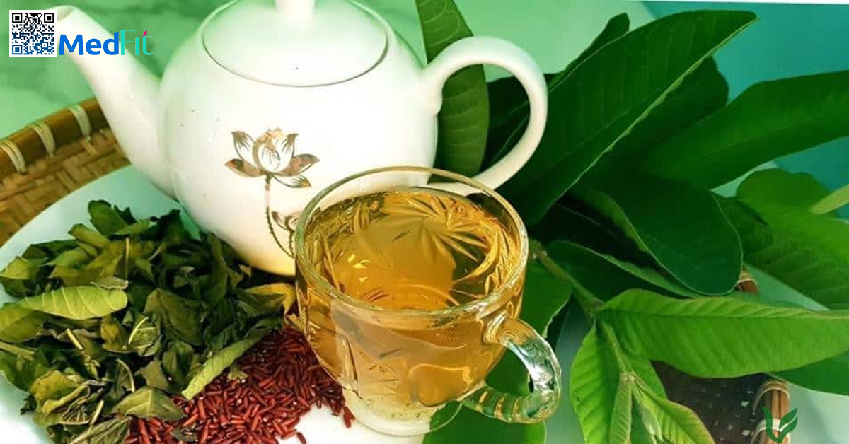 Sự thật về trà lá nam giảm cân: Hỗ trợ chuyển hóa hay chỉ là lời đồn? 5 Các thử nghiệm lâm sàng nhỏ cho thấy trà hoặc chiết xuất lá ổi có thể cải thiện chỉ số chuyển hóa ở người