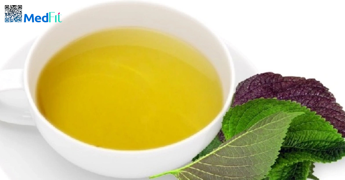 Sự thật về trà lá nam giảm cân: Hỗ trợ chuyển hóa hay chỉ là lời đồn? 6 Trà lá tía tô được nghiên cứu cho thấy có tiềm năng hỗ trợ kiểm soát cân nặng thông qua nhiều cơ chế sinh học