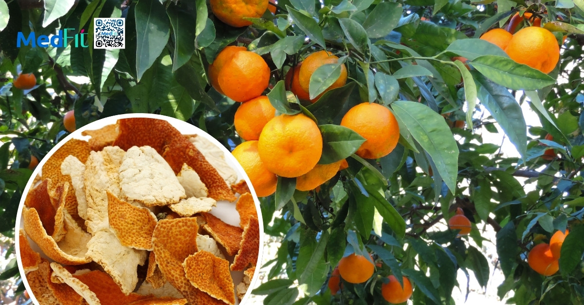 Giảm cân Cenly có tốt không? Có gây tác dụng phụ hay rủi ro sức khỏe? 7 Trần bì có thể đóng vai trò hỗ trợ kiểm soát cân nặng và mỡ máu, đặc biệt nhờ các hợp chất flavonoid