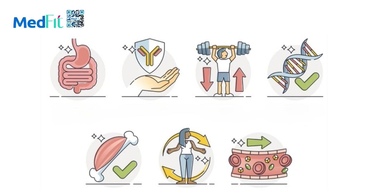 Ăn nhiều đạm có béo không? Giải mã cách ăn giúp giảm cân hiệu quả 2 Vai trò của đạm không chỉ hỗ trợ tăng trưởng, phát triển, sửa chữa và xây dựng tế bào mà còn liên quan đến nhiều quá trình sống thiết yếu