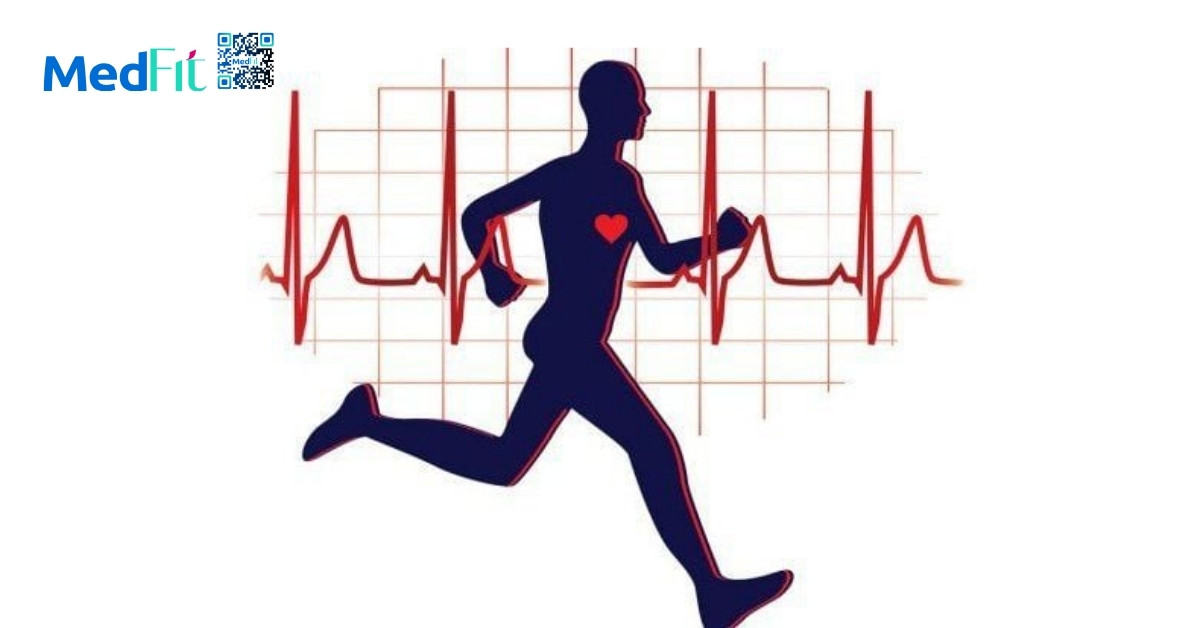 Khả năng thích nghi và nguyên lý quá tải tiến triển trong luyện tập để giảm cân 1 Các hệ thống như tim mạch, hô hấp, cơ xương và chuyển hóa đều điều chỉnh theo hướng tối ưu nhằm đáp ứng yêu cầu hoạt động