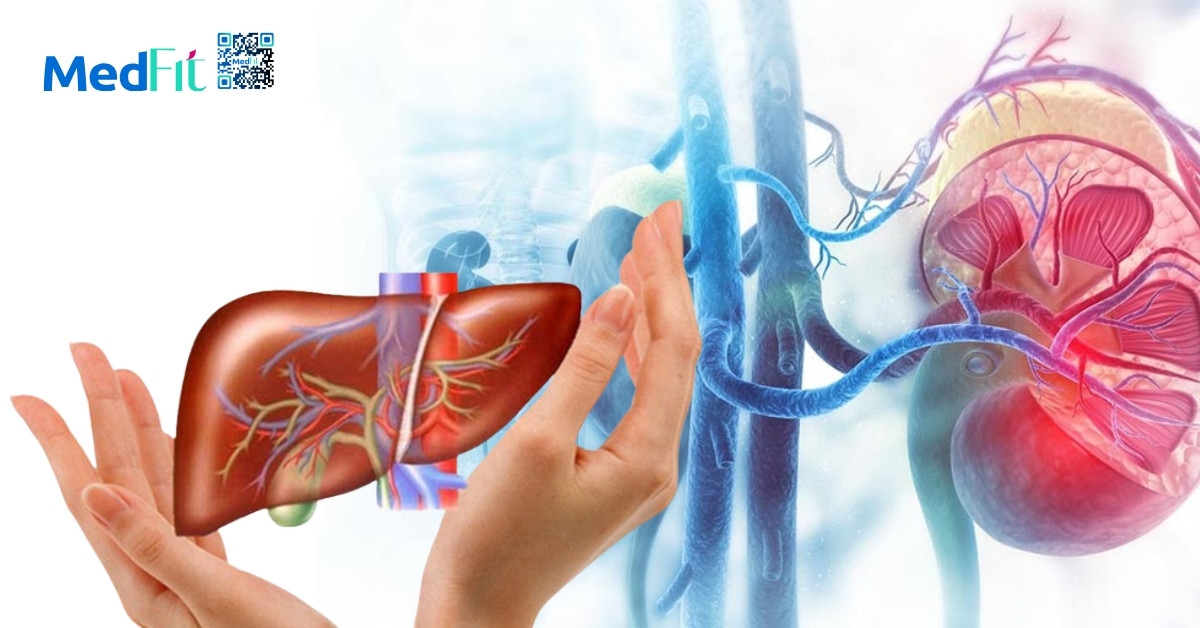 Cách uống bột đậu đỏ giảm cân an toàn và dễ áp dụng mỗi ngày 5 Chiết xuất đậu đỏ giúp cải thiện chức năng thận, giảm tích tụ mỡ gan và phục hồi cân bằng chuyển hóa lipid cũng như glucose trong máu