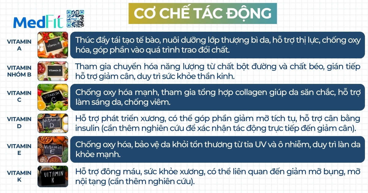 Bổ sung các loại vitamin có cần thiết trong quá trình giảm cân? 6 Co che tac dong Vitamin