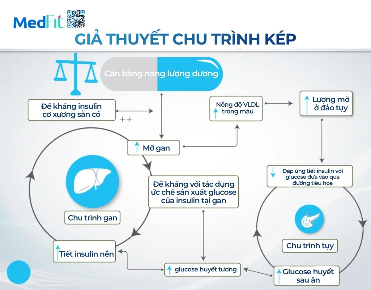 Giai thuyet chu trinh kep