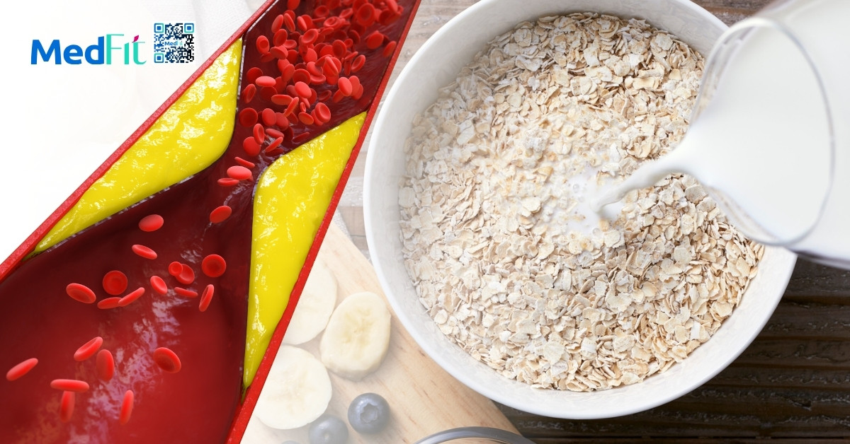 Yến mạch còn được đánh giá cao nhờ lợi ích với chuyển hóa lipid máu