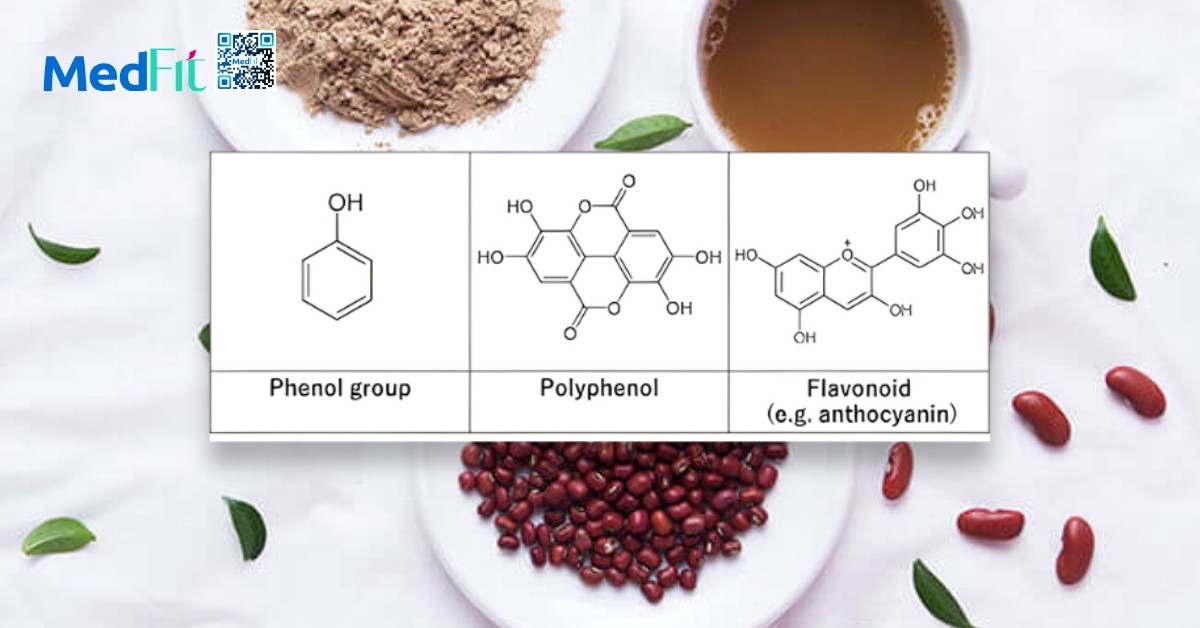 Cách uống bột đậu đỏ giảm cân an toàn và dễ áp dụng mỗi ngày 4 Bột đậu đỏ chứa polyphenol, flavonoid có khả năng trung hòa các gốc tự do, bảo vệ tế bào khỏi tổn thương oxy hóa và duy trì trạng thái cân bằng nội môi