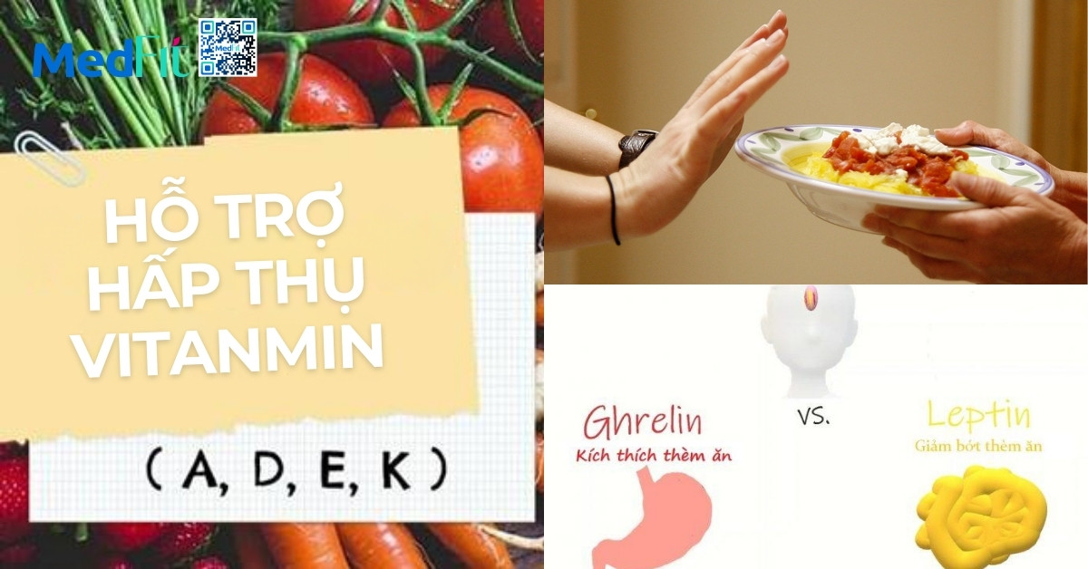 Vai trò của chất béo