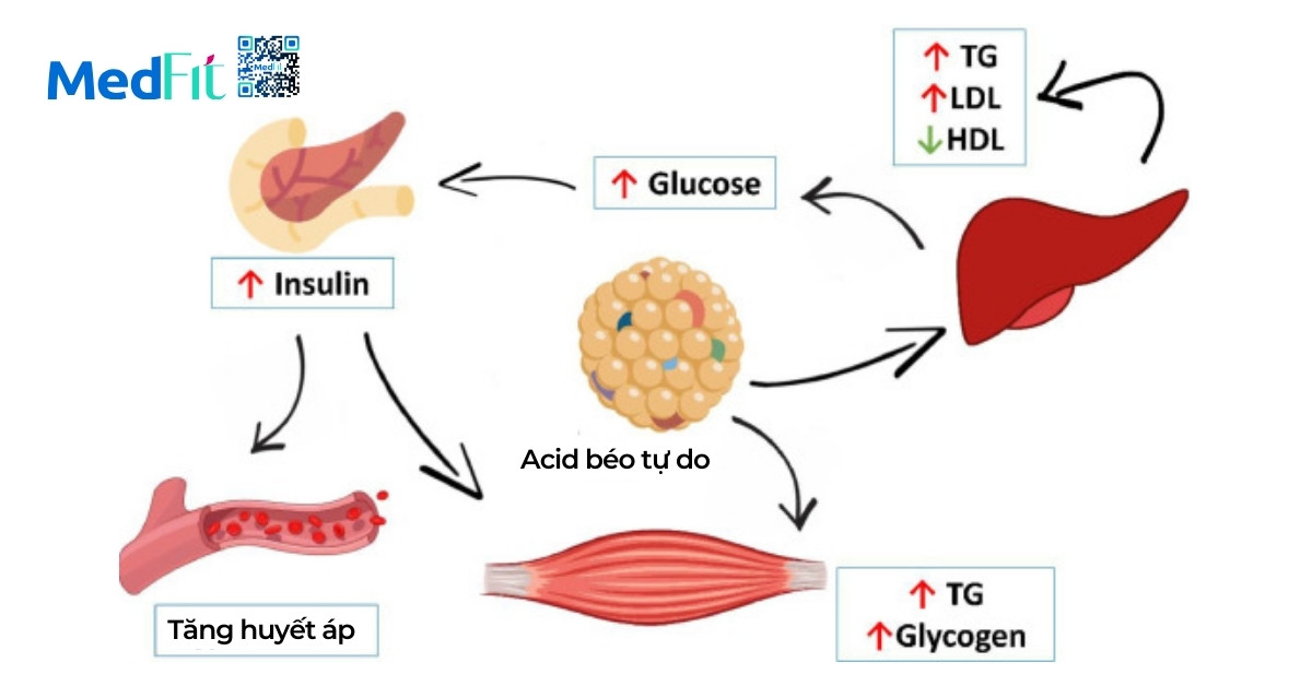 Dấu hiệu cho thấy cơ thể đang đề kháng insulin 9 Anh huong den chuyen hoa