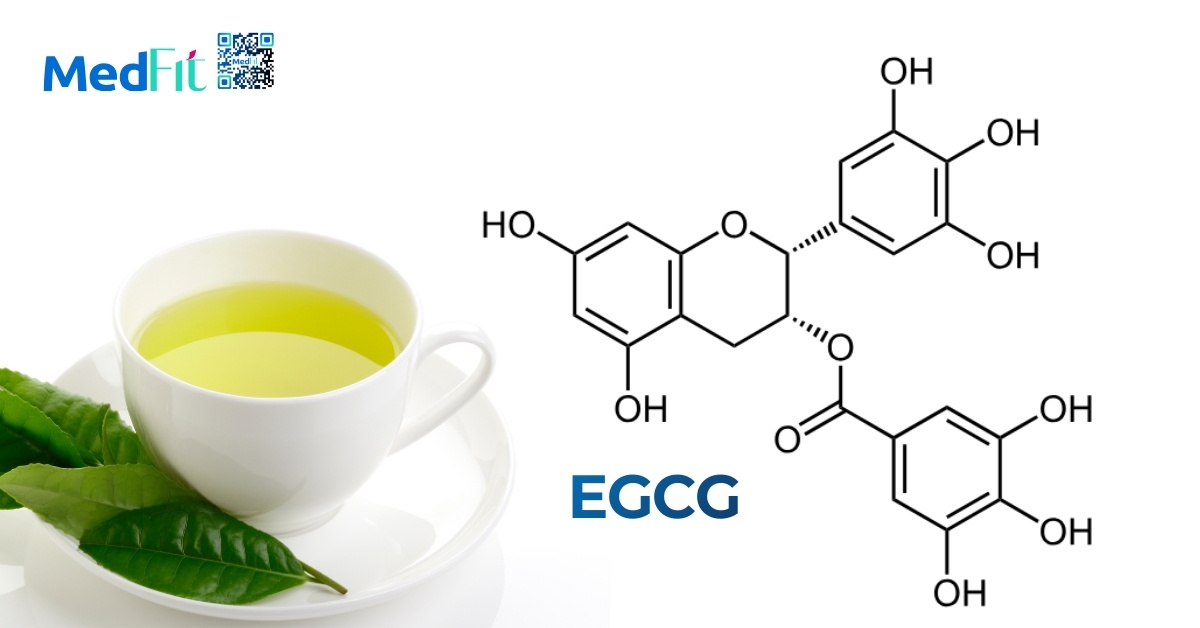Catechin là nhóm polyphenol chủ đạo trong trà xanh, chiếm khoảng 20–30% trọng lượng khô của lá