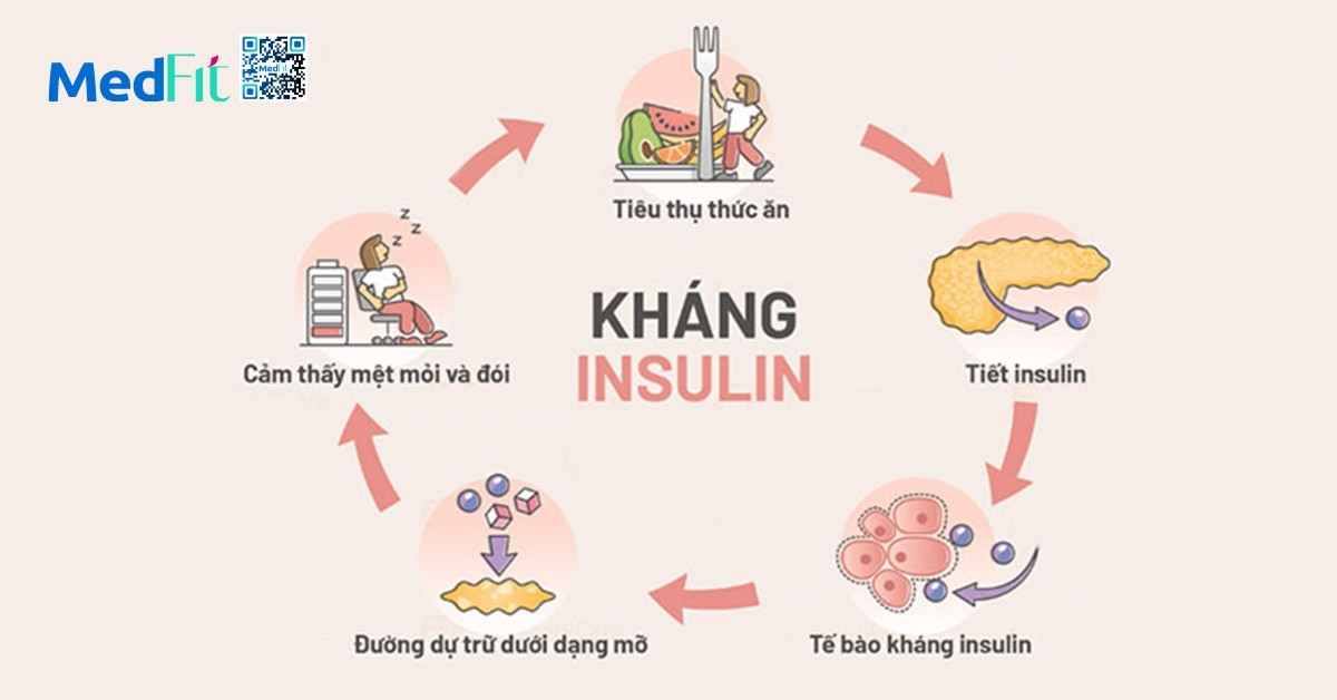 Dấu hiệu cho thấy cơ thể đang đề kháng insulin 1 Khang Insulin