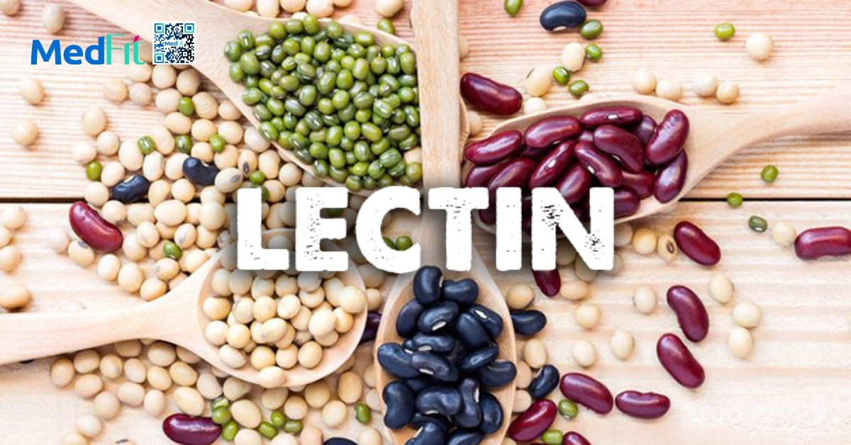 Lectin
