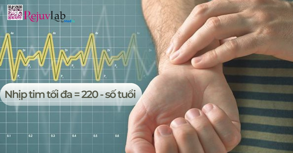 Nhip tim toi da