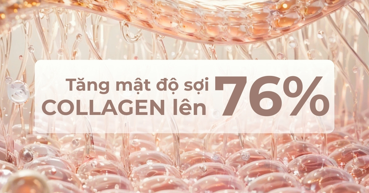 Tăng mật độ sợi collagen lên 76%