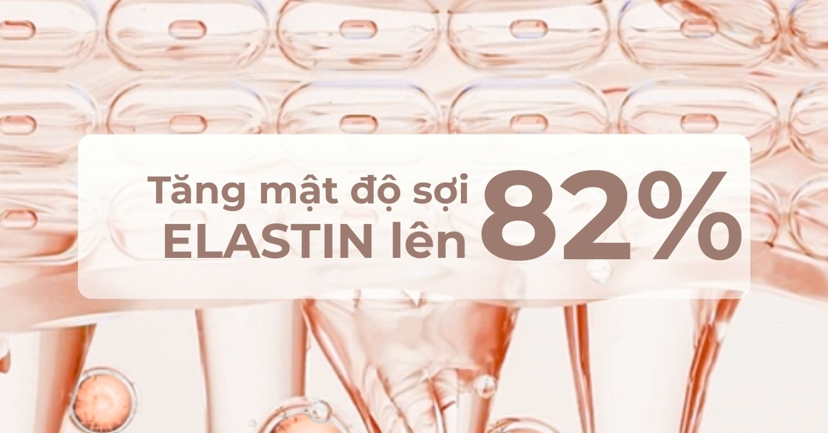 Tăng mật độ sợi elastin lên 82%