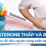 Testosterone thấp và béo phì: Làm sao để đảo ngược vòng xoắn bệnh lý?