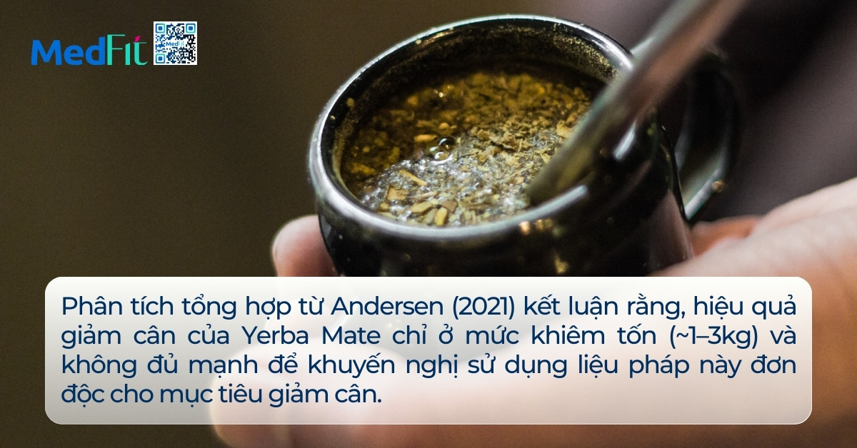 Trà Yerba Mate và Ozempic: So sánh hiệu quả giảm cân từ trà thảo dược đến thuốc kê đơn 4 Trà Yerba Mate và Ozempic: So sánh hiệu quả giảm cân từ trà thảo dược đến thuốc kê đơn 3