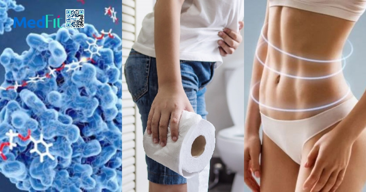 Thuốc xổ mỡ bụng là gì và có thật sự giúp giảm mỡ hiệu quả không? 6 Co che tac dung cua cac nhom thuoc xo mo bung