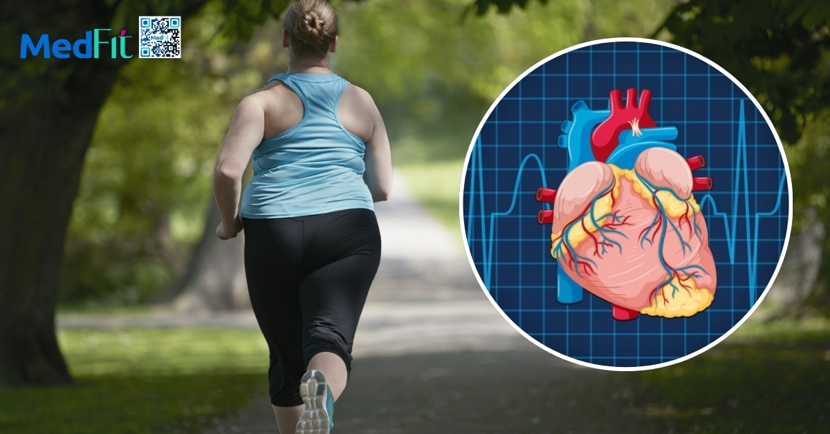 Theo dõi nhịp tim trong và sau khi vận động giảm cân như thế nào? 3 Luong bom mau moi nhip