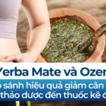 Trà Yerba Mate và Ozempic: So sánh hiệu quả giảm cân từ trà thảo dược đến thuốc kê đơn