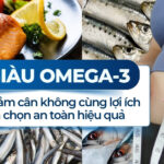 Cá giàu omega-3 có giúp giảm cân không? Lợi ích và cách chọn an toàn, hiệu quả