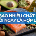 Ăn bao nhiêu chất béo mỗi ngày là hợp lý?