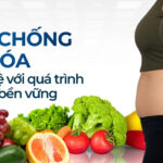 Chất chống oxy hóa: Mối liên hệ với quá trình giảm cân bền vững