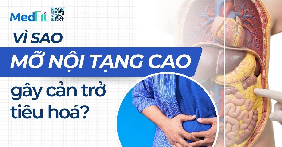 vì sao mỡ nội tạng cản trở tiêu hoá