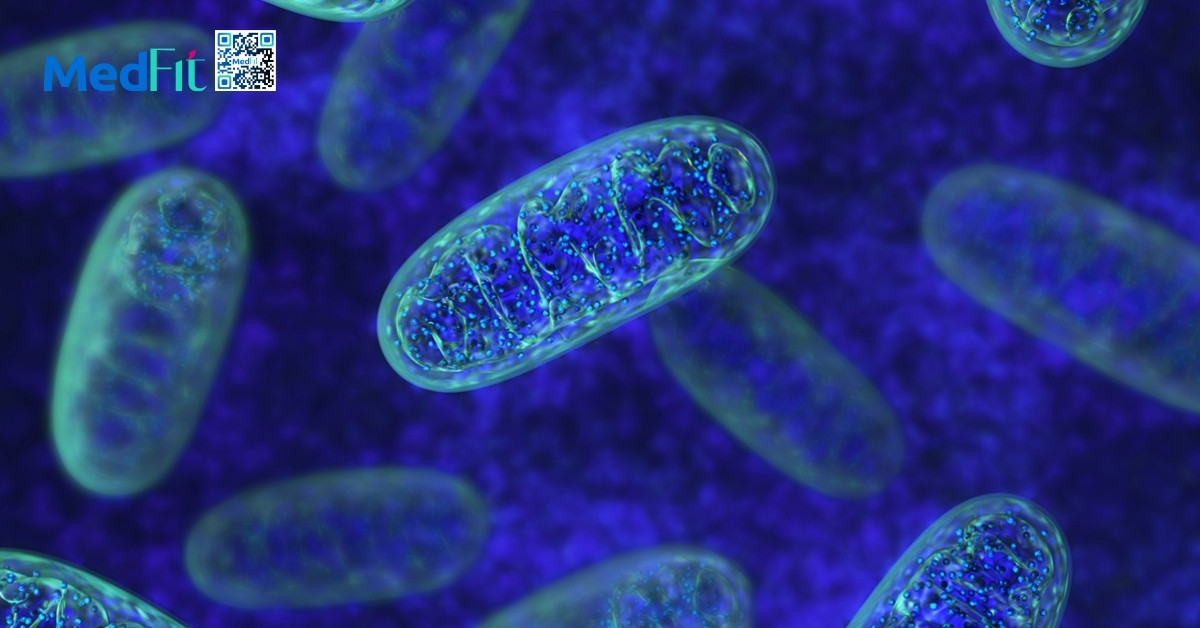 Khó giảm cân sau 30 tuổi? Do chuyển hoá hay do thói quen? 4 Khó giảm cân sau 30 tuổi? Do chuyển hoá hay do thói quen? 3