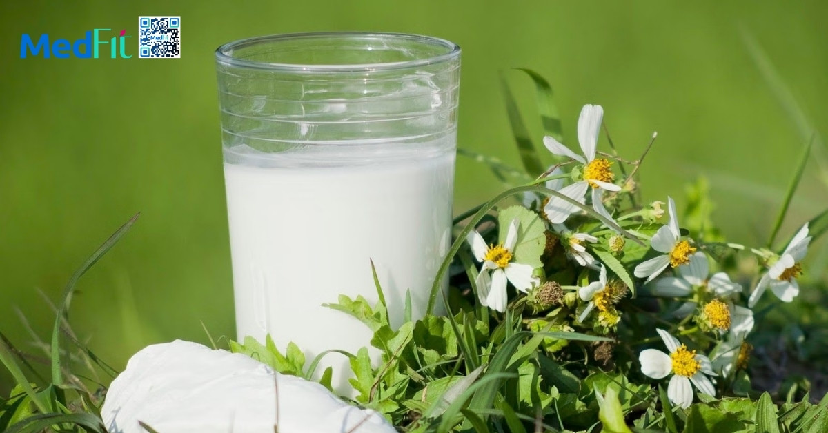 Cách uống bột sắn dây giảm cân cho người muốn cải thiện vóc dáng 14 Cách uống bột sắn dây giảm cân cho người muốn cải thiện vóc dáng 13