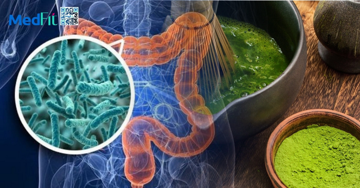 Uống matcha có giảm cân không? 2 Uống matcha có giảm cân không? 1