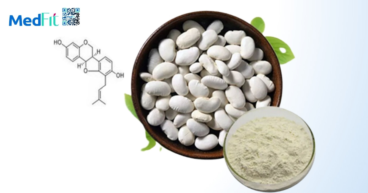 Cà phê giảm cân Idol Slim có tốt không hay chỉ là hỗ trợ tạm thời? 10 Cà phê giảm cân Idol Slim có tốt không hay chỉ là hỗ trợ tạm thời? 9