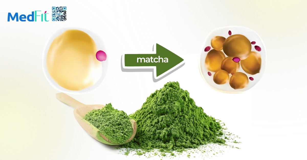 Uống matcha có giảm cân không? 6 Uống matcha có giảm cân không? 5