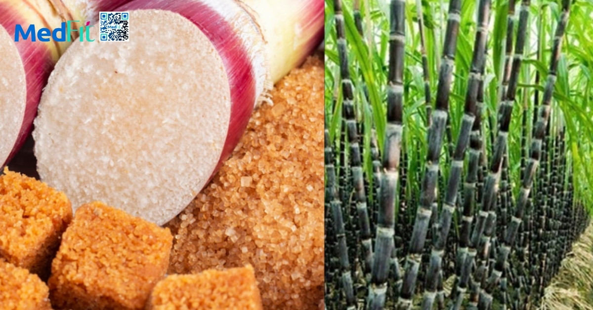 Đường nâu có tốt không, có nên dùng khi giảm cân không? 1 Duong nau