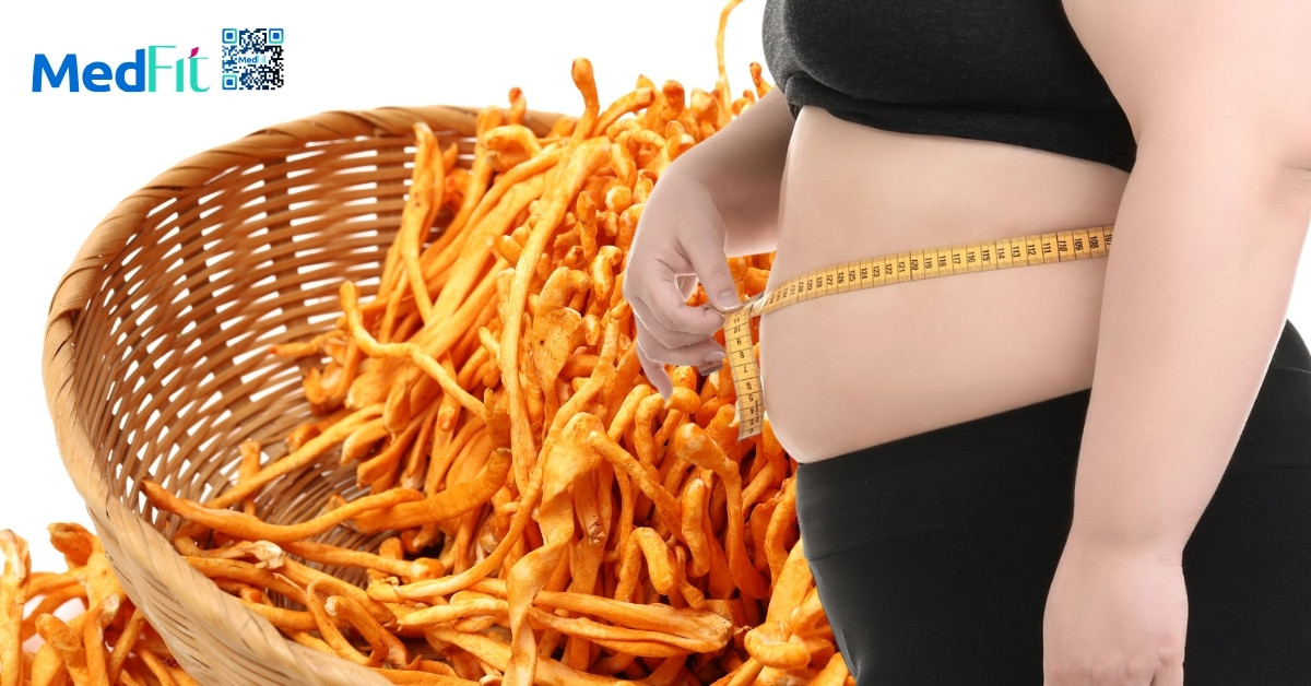 Ngoài bồi bổ cơ thể, đông trùng hạ thảo có giúp giảm cân không? 2 Ho tro kiem soat can nang