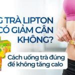 Uống trà Lipton có giảm cân không? Cách uống trà đúng để không tăng calo