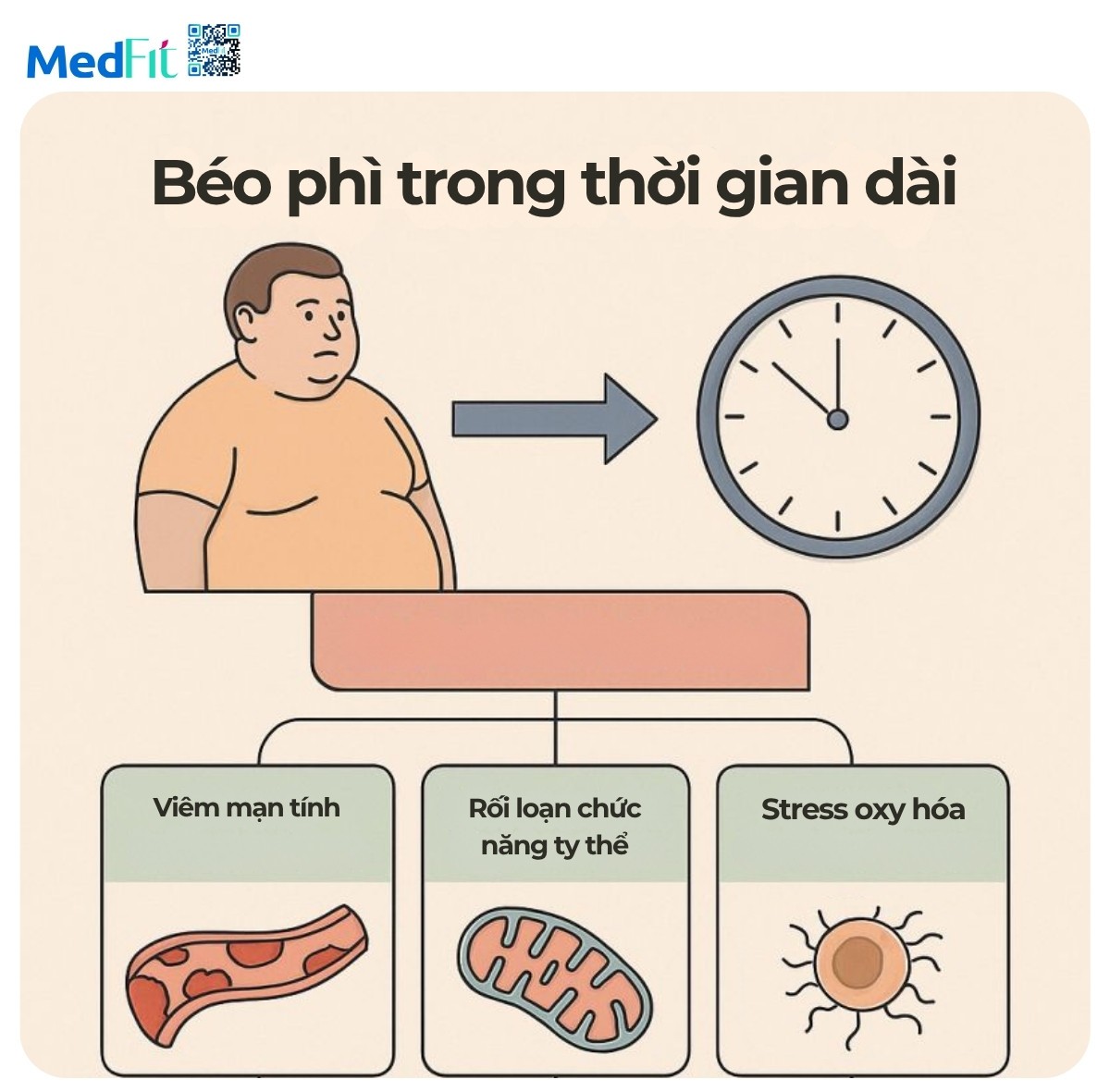 Mối liên hệ giữa béo phì và lão hoá: Hiểu đúng để sống khỏe và trẻ lâu hơn 6 Béo phì và chuyển hoá