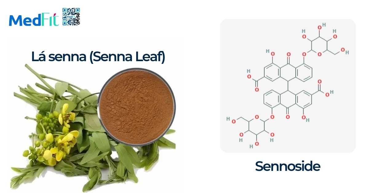 Trà Nature's Tea có giảm cân không? Sự thật đằng sau hiệu quả giảm cân nhanh 6 Trà Nature's Tea có giảm cân không? Sự thật đằng sau hiệu quả giảm cân nhanh 5