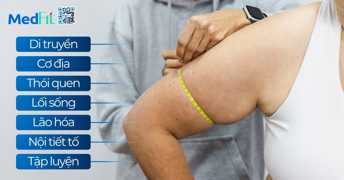 Gợi ý cách giảm mỡ bắp tay lâu năm và cứng đầu hiệu quả, dễ thực hiện 2 Gợi ý cách giảm mỡ bắp tay lâu năm và cứng đầu hiệu quả, dễ thực hiện 1