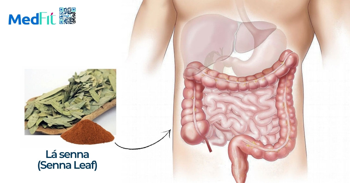 Trà giảm cân Tam Diệp Hùng Phát có tốt không? Đừng lầm tưởng giữa giảm mỡ và mất nước 7 Trà giảm cân Tam Diệp Hùng Phát có tốt không? Đừng lầm tưởng giữa giảm mỡ và mất nước 6