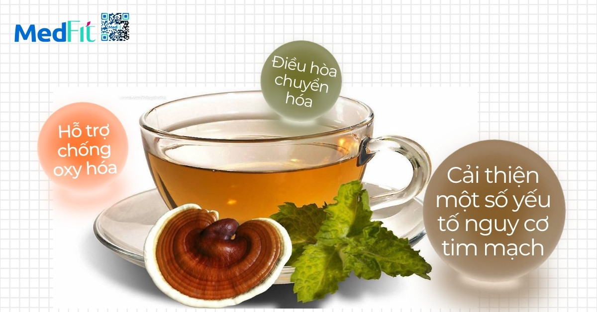 Uống trà nấm giảm cân có tốt không? Những sự thật bạn cần biết trước khi dùng 8 Uống trà nấm giảm cân có tốt không? Những sự thật bạn cần biết trước khi dùng 7