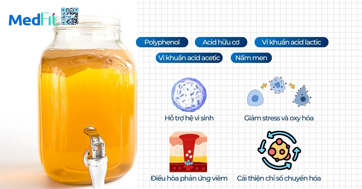 Uống trà nấm giảm cân có tốt không? Những sự thật bạn cần biết trước khi dùng 5 Uống trà nấm giảm cân có tốt không? Những sự thật bạn cần biết trước khi dùng 4