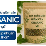 Trà thảo mộc giảm cân organic có tốt không hay chỉ giúp nhuận tràng tạm thời?